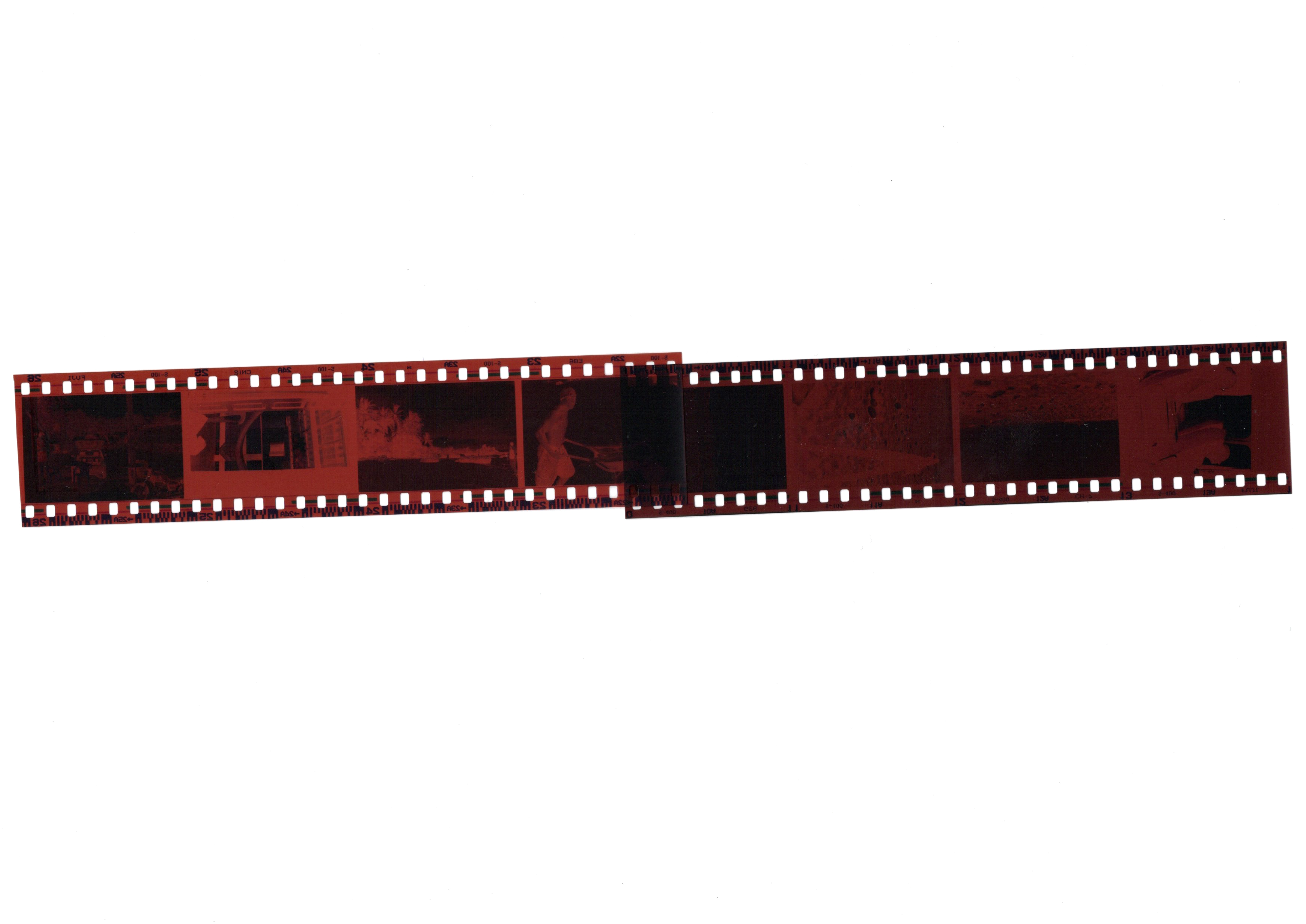 Film strip photography showcase